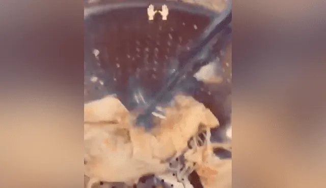 Video de Tik Tok revela un curioso truco para deshilachar pollo recién sancochado en cuestión de segundos y sin quemarte los dedos