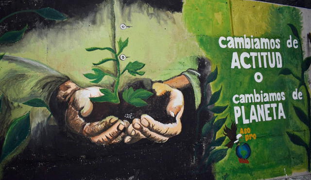 Murales con mensajes medio ambientales adornan el centro de Arequipa | FOTOGALERIA
