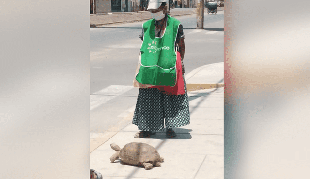 Anciana vende tortuga