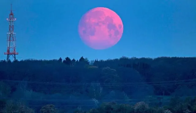 La superluna rosa será la más grande brillante del año. Foto: AP.