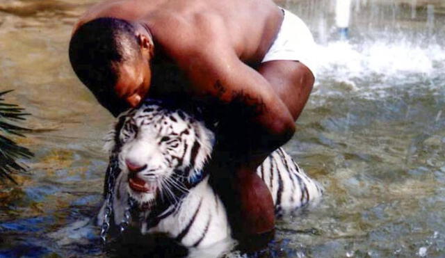 Mike Tyson tuvo un terrible incidente en 2019 con su tigre de bengala. Foto: Infobae