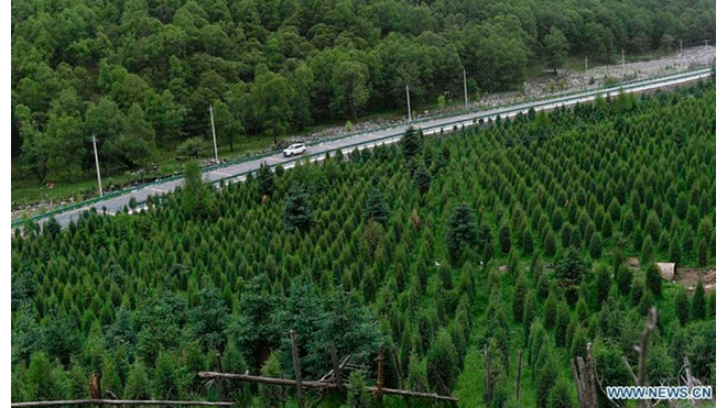 Carretera en Qinghai, China