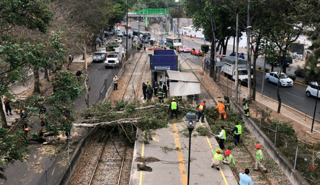 Los vientos se presentan desde las 11:30 a. m.  hasta las 4:00 p. m. (Foto: Última Hora)