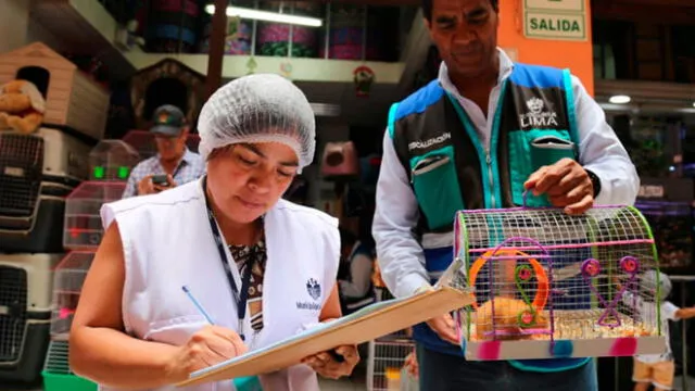 Cercado de Lima: rescatan a más de cien mascotas maltratadas en Mercado Central [FOTOS y VIDEO]