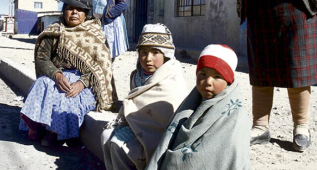 Arequipa: Entregarán 6 mil kits de abrigo confeccionados con fibra de alpaca 
