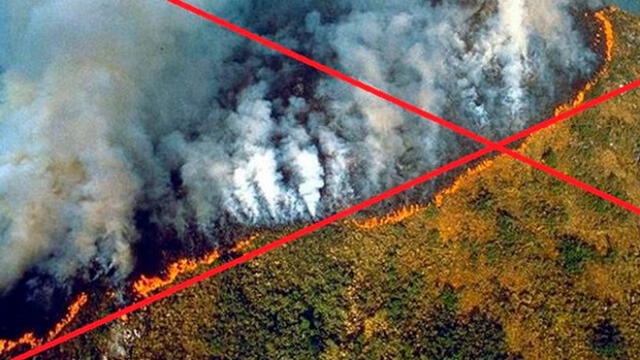 Imágenes falsas de los incendios en la Amazonía. Foto: AFP.