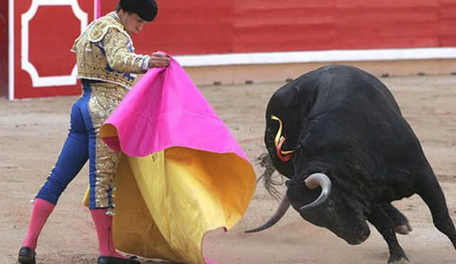 España: proponen ley que permitirá corridas de toro pero sin herir ni matarlos