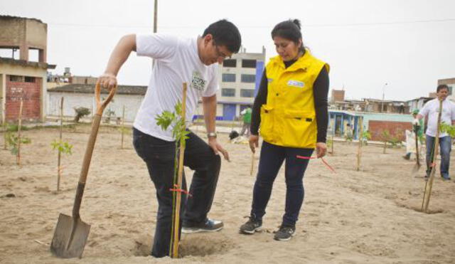 Siembran 2 mil 700 árboles en 5 distritos de Lima Metropolitana