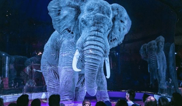 ¿Adiós a la utilización de animales silvestres en shows de circo? 