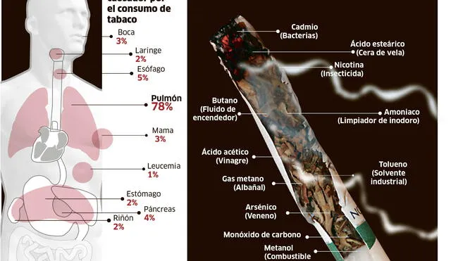 El tabaco: Componentes y efectos en el organismo por su consumo