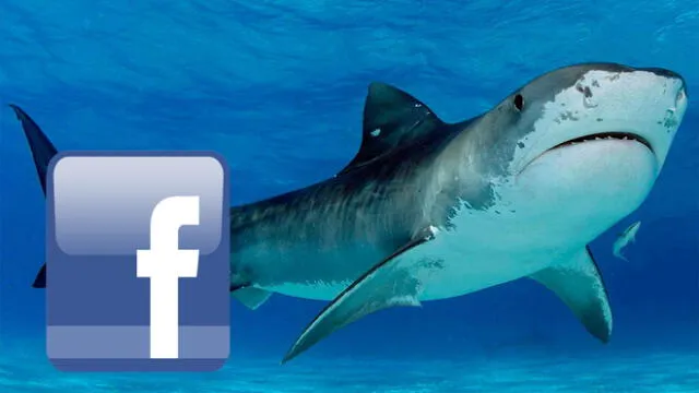 Facebook: ‘Tiburón’ hace el #KikiChallenge y asombra a todos en las redes [VIDEO]