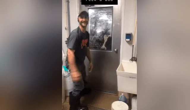 Facebook: La curiosa reacción de una vaca que ve a hombre escondido detrás de una puerta [VIDEO]