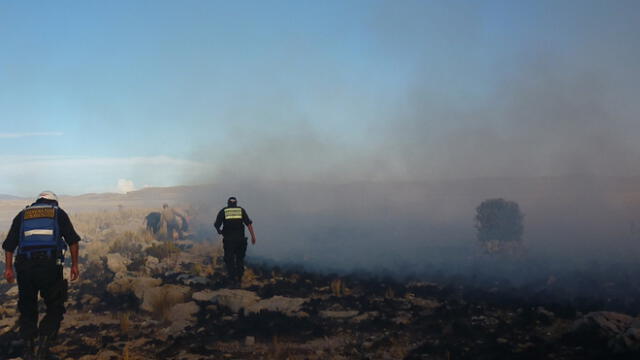 Incendio forestal destrozó 200 hectáreas de pastizales en Puno