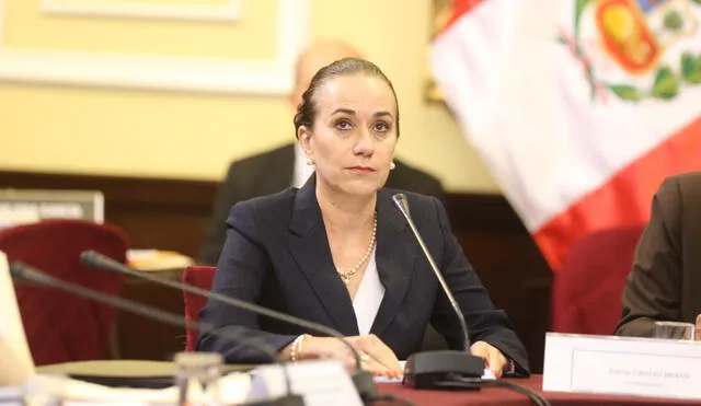 Presidente Vizcarra rechazó la declaración de Ana Revilla sobre feminicidio