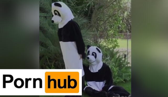 Facebook: Pornhub y la propuesta sexual para salvar a los pandas | VIDEO