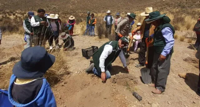 Pobladores de Polobaya serán asesorados.