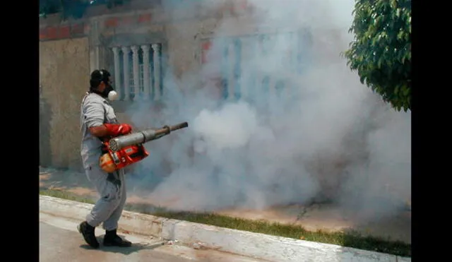 Tumbes confirma 48 casos de dengue y 102 de leptospirosis