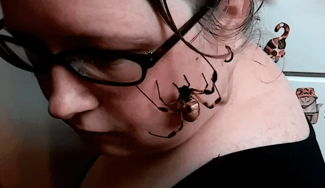 YouTube: Mujer causa asombro por tener de mascota a una enorme araña [VIDEO]