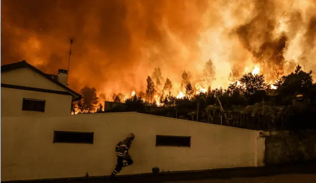 Incendio en Portugal: la historia de una familia que sobrevivió en un tanque de agua