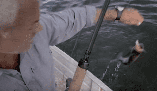 Pescador ingresa a peligrosa playa de Brasil para atrapar a peligrosa criatura marina que atacó a bañistas.