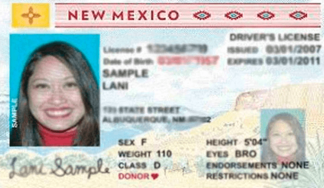 Ley que facilita las licencias de conducir para indocumentados en Estados Unidos ya es una realidad 