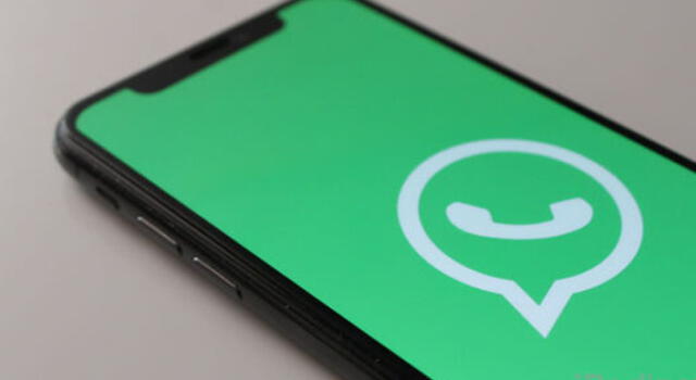 Así podrás tener todos tus archivos de WhatsApp en tu nuevo smartphone.