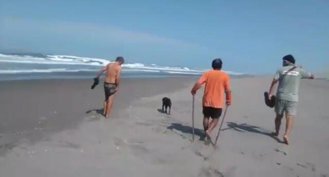 Pobladores estaban en playa de Camaná, ellos acusan que los perros los atacaron.