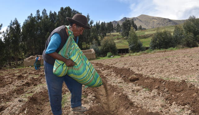 Se capacitarán a 20 pequeños productores de papa de la comunidad localizada en la provincia de Canchis en Cusco.