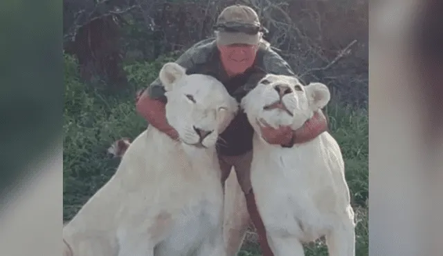 West Mathewson fue atacado por sus dos leonas blancas mientras daba un paseo. Foto: The Sun