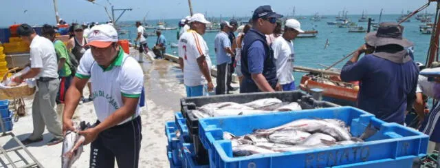 Produce suspende pesca de bacalao de profundidad hasta fin de año