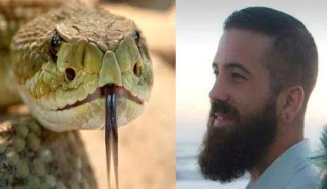 YouTube: hombre intentó besar a una serpiente cascabel, pero recibió terrible lección [VIDEO]
