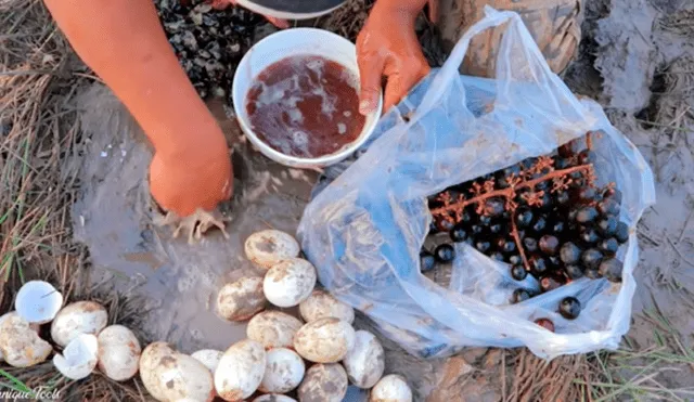 YouTube viral: arroja uvas y huevos en extraño agujero y en segundos aparecen extraños peces