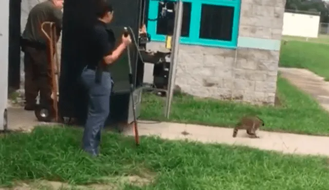 En YouTube, unos escolares alertaron a la policía sobre la presencia de un animal dentro de una máquina dispensadora.