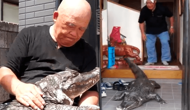 Facebook viral: anciano cuida a cocodrilo como si fuera su hijo y comportamiento de animal sorprende al mundo