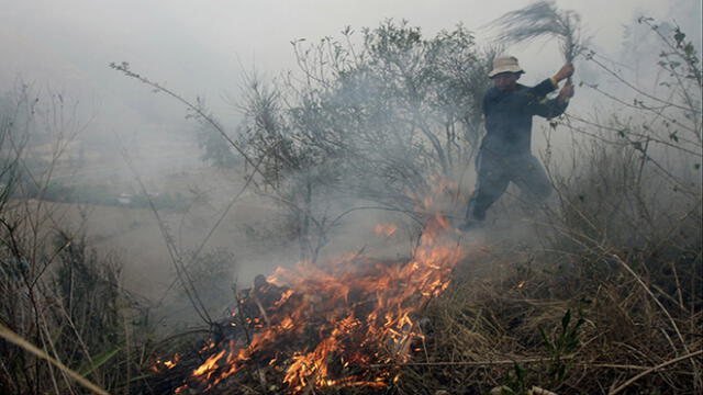 Serfor capacita a agricultores de Arequipa para controlar incendios forestales