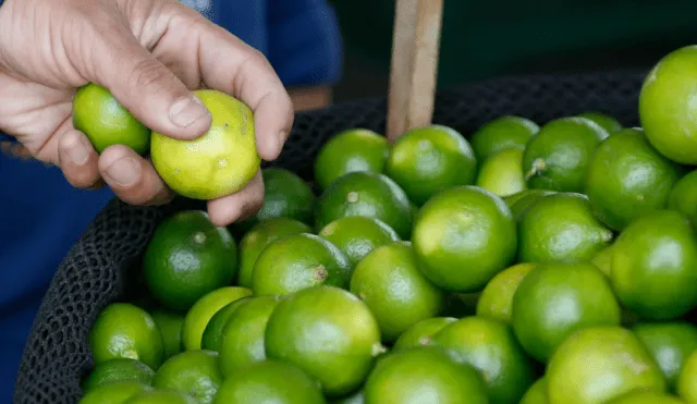Los precios del limón, papa y demás productos en el Mercado Mayorista de este 26 de noviembre