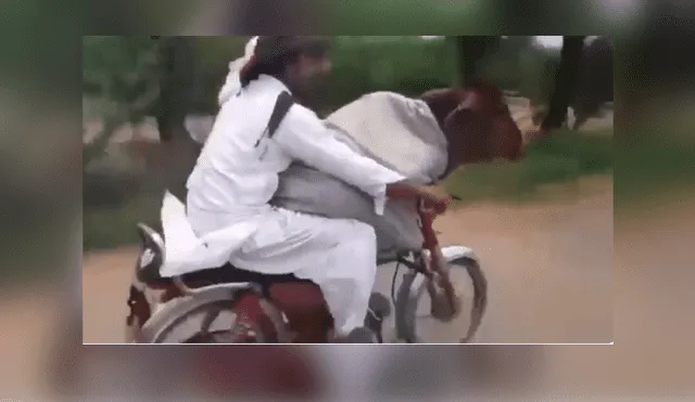 Facebook viral: Hombre saca a pasear a una vaca en su motocicleta y genera controversia [VIDEO]