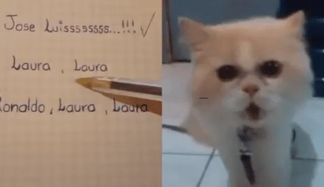 Facebook viral: graban a gato diciendo el nombre de sus dueños y miles se sorprenden [VIDEO]