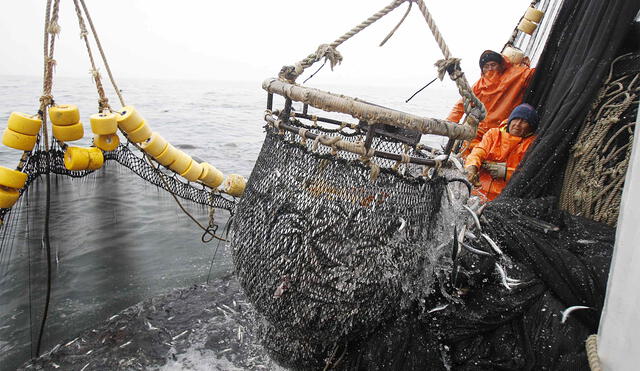 Suspenden pesca de anchoveta por 5 días en la zona norte-centro del litoral peruano