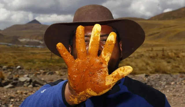 Cuenca lechera en Puno sigue siendo afectada por contaminación minera