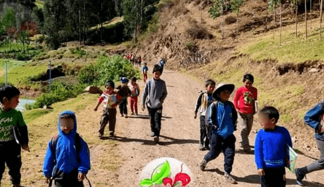 Niños caminan entre cerros para estudiar