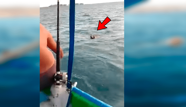 Hombres navegaban en alta mar a bordo de una lancha cuando se percataron de la desesperante situación del cachorro