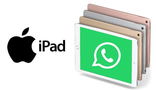 WhatsApp está preparando el lanzamiento de su nueva versión para iPad.