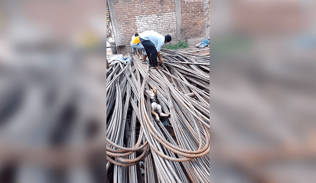 Facebook Viral: El rescate de este perrro atrapado entre cables de acero conmueve a miles de usuarios 