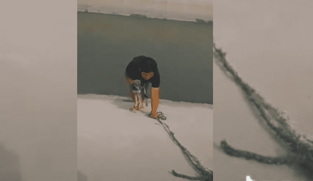 Video es viral en TikTok. El hombre usó todo lo que tenía a la mano para rescatar al cachorro que había pasado varias horas esperando que alguien lo ayude. Fotocaptura: TikTok