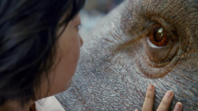 Netflix lanza trailer de su nueva serie Okja, que por primera vez tendrá a un enorme animal como protagonista|VIDEO
