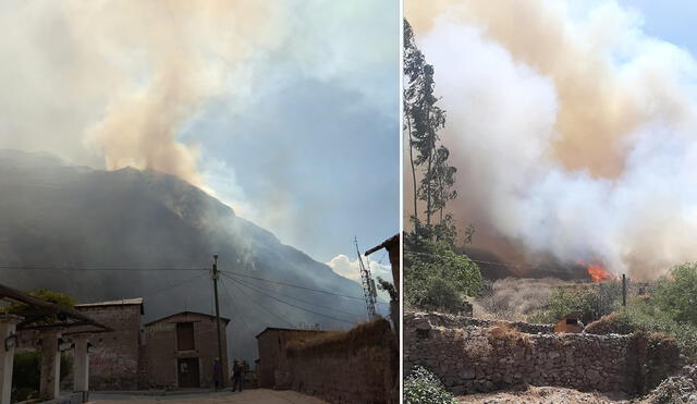 Fuego fue provocando, causando daño en la flora y fauna de la localidad de Pampacocha en Toro, Cotahuasi. Fotos: Difusión.