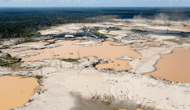 Papa Francisco, la Amazonía y el crudo drama de la deforestación