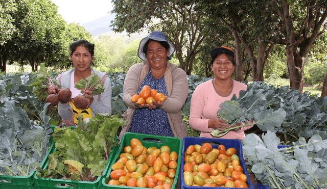 Más de 90 mil mujeres rurales trabajan en proyectos de producción