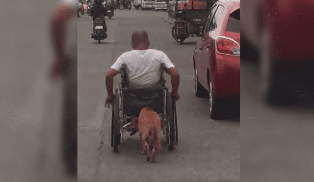 Facebook: perrito ayuda a su dueño empujando su silla de ruedas por la calle [VIDEO]